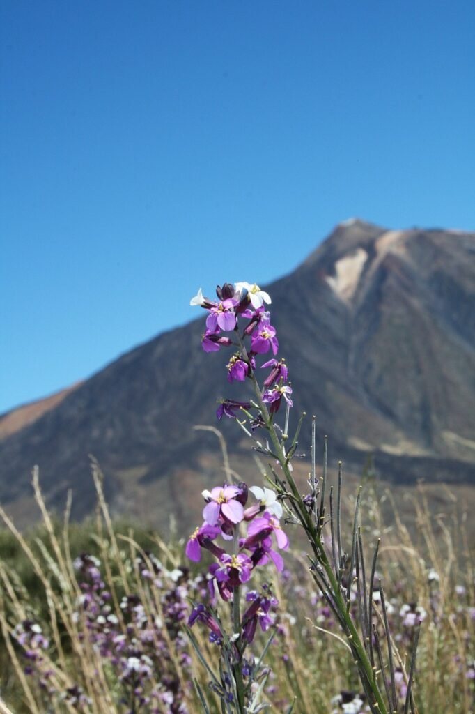 Tenerife y el Teide
